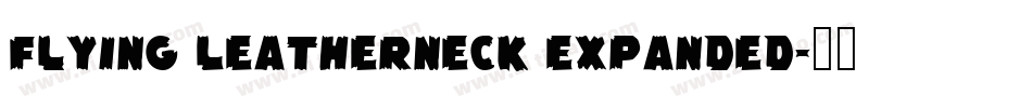 Flying Leatherneck Expanded字体转换